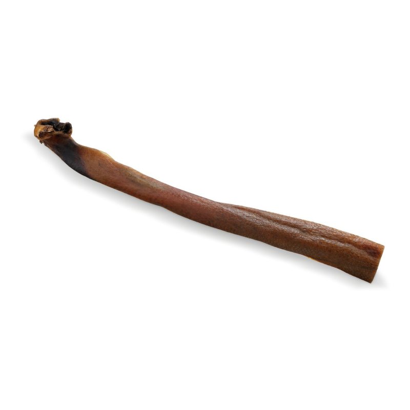Skóra z Dzika suszona 50cm 1szt.