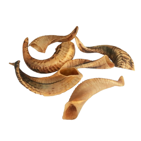 Rogi Baranie suszone 1KG