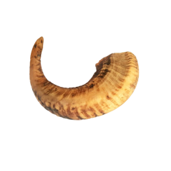 Rogi Baranie suszone 1KG