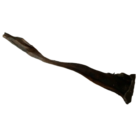 Skóra jelenia suszona 50cm 1szt.