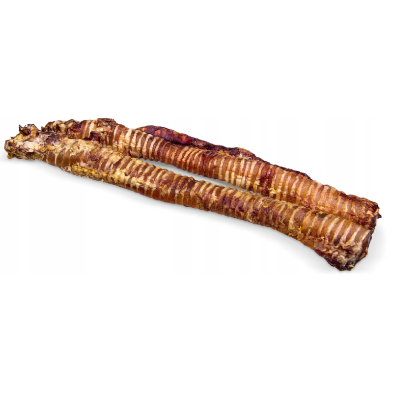 Tchawica Wołowa suszona 25-40cm 1KG