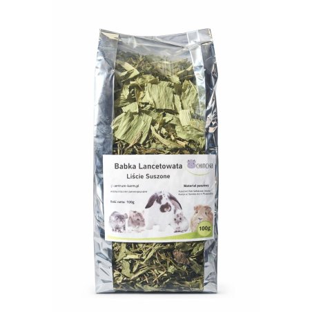 Chincha Babka Lancetowata 100g