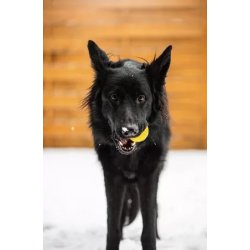 Fiboo snack fibooll kula smakula żółty