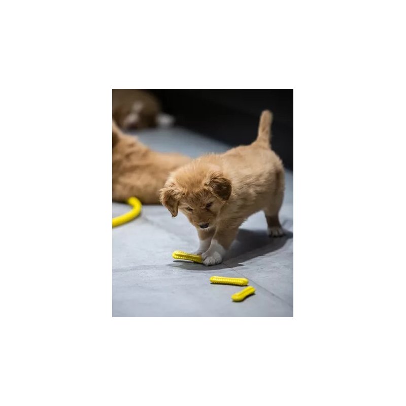 Fiboo fiboone puppy łagodzi ból przy ząbkowaniu żółty