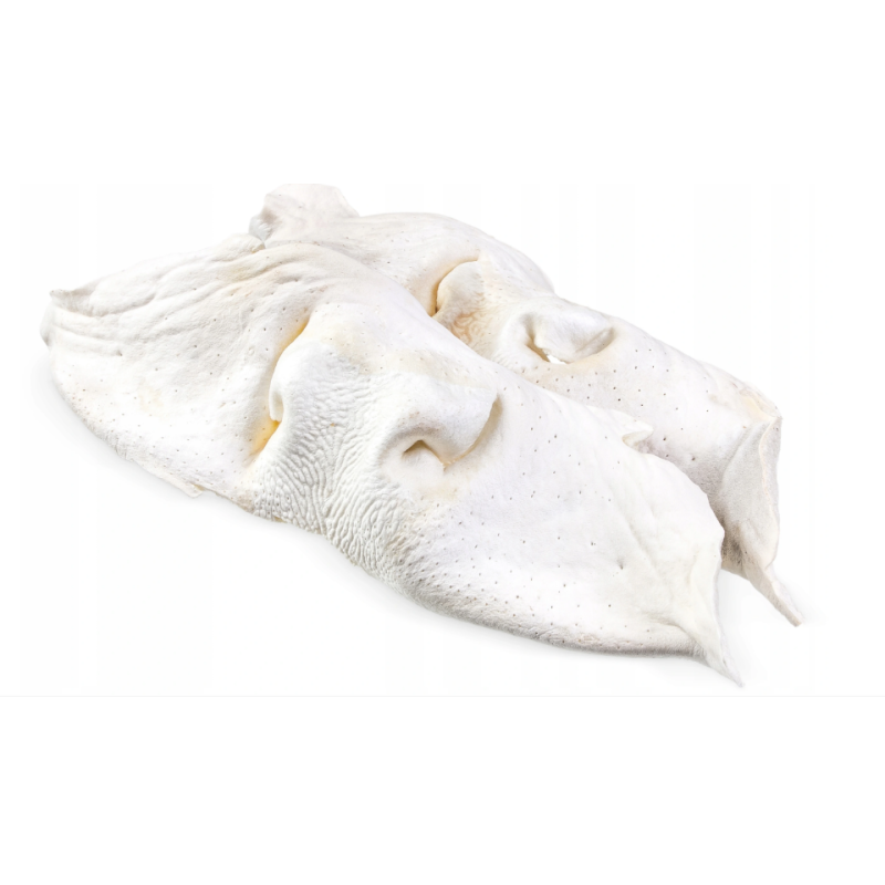 Nosy Wołowe Białe suszone 1KG